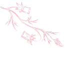 用戶真實回饋 - 开云